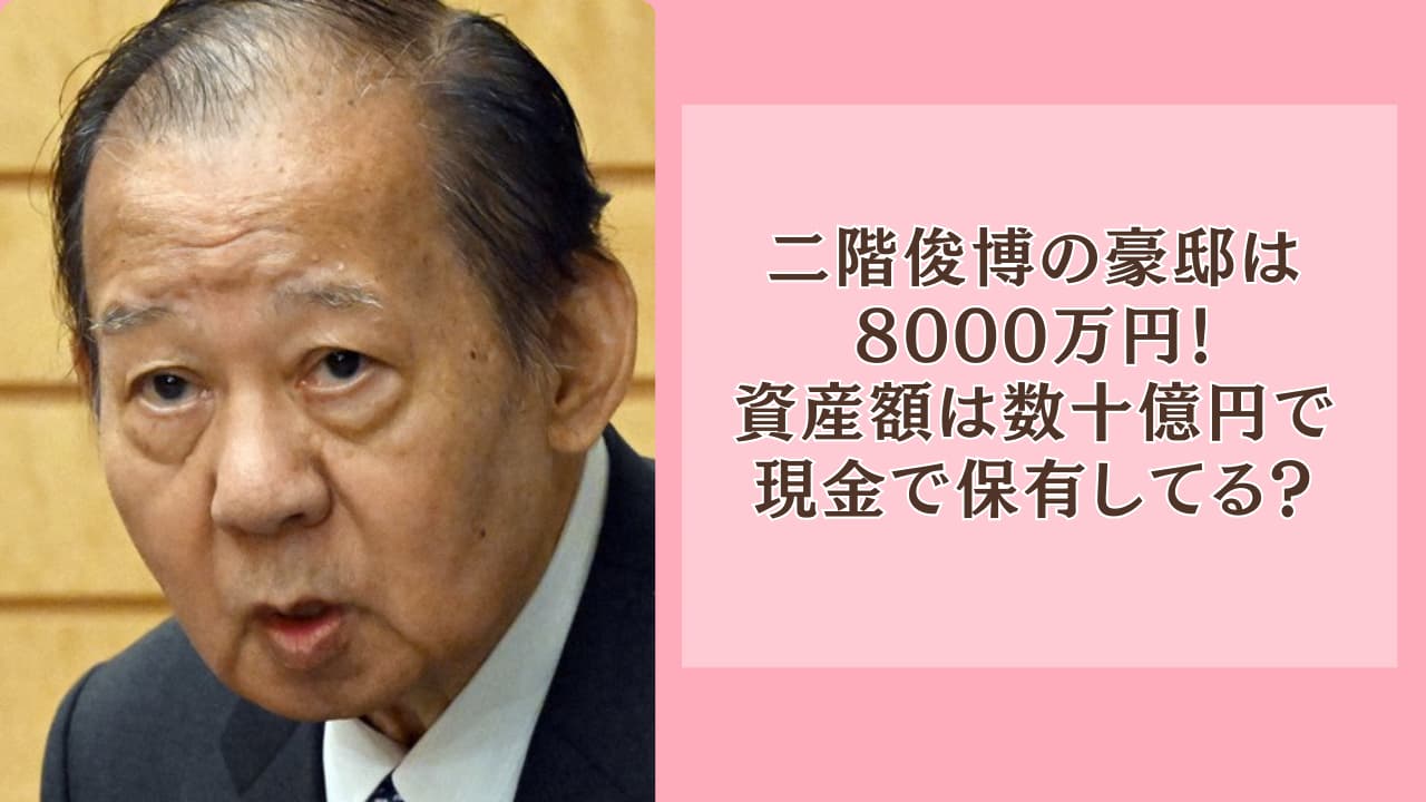 二階俊博の豪邸は8000万円！資産額は数十億円で現金で保有してる？